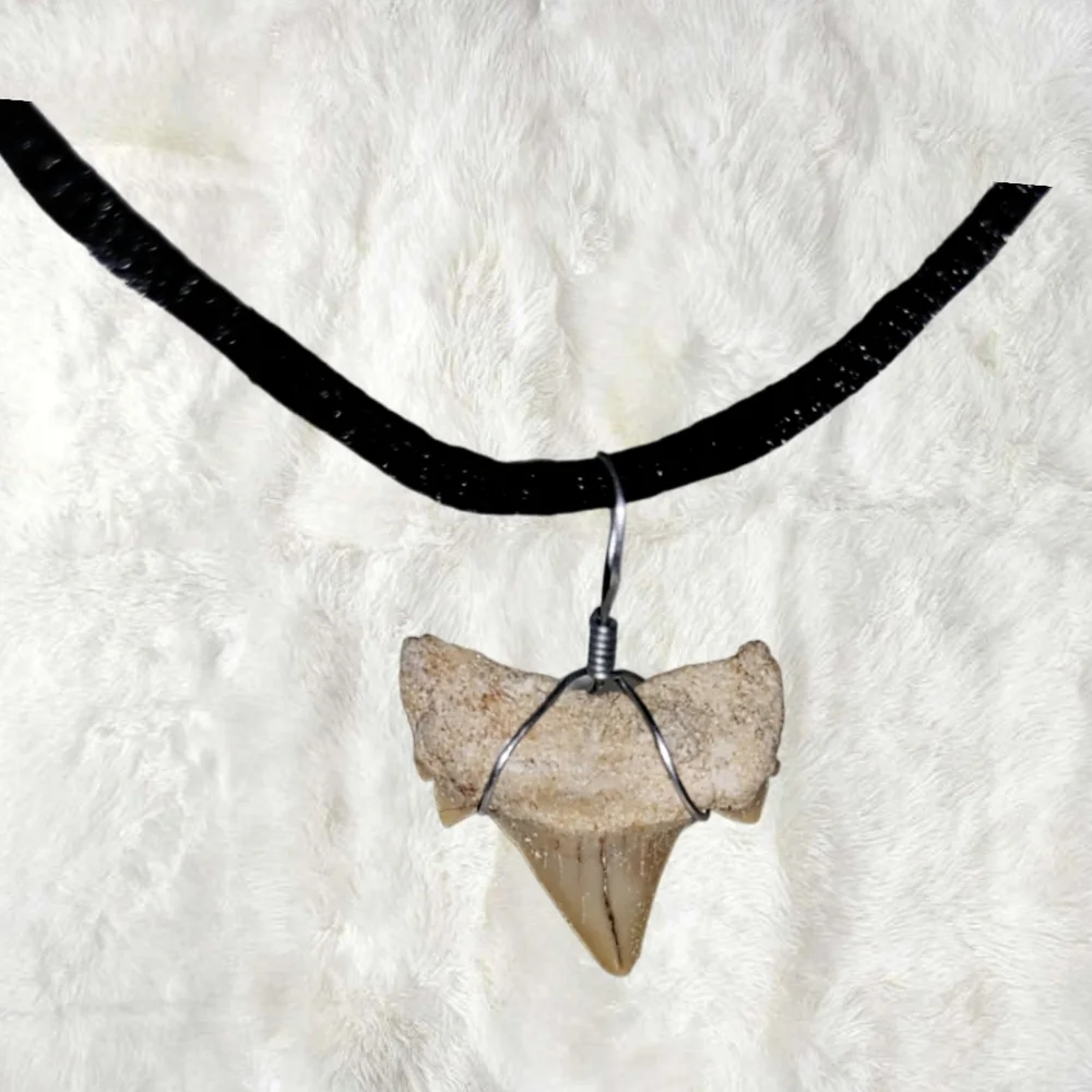Genuine Fossilized Shark Tooth Pendant w/ Cord Necklace